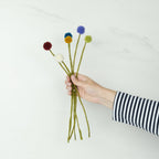 Felt Craspedia Stem