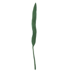 Felt Long Leaf