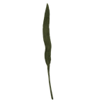 Felt Long Leaf