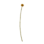 Felt Craspedia Stem