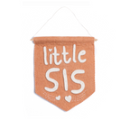 Little Sis Banner Flag