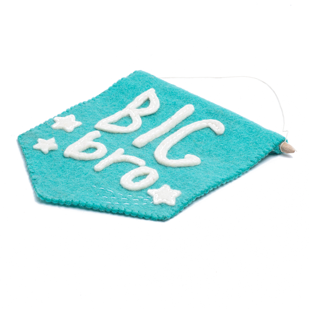 Big Bro Banner Flag