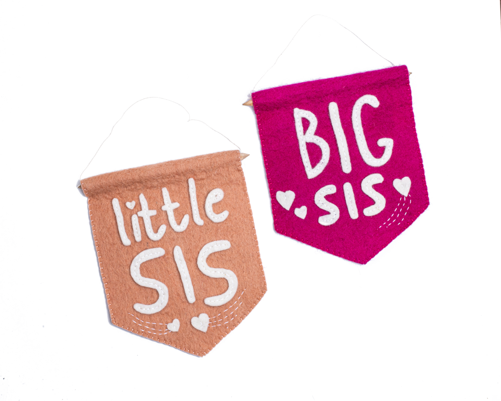 Little Sis Banner Flag