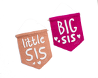Little Sis Banner Flag