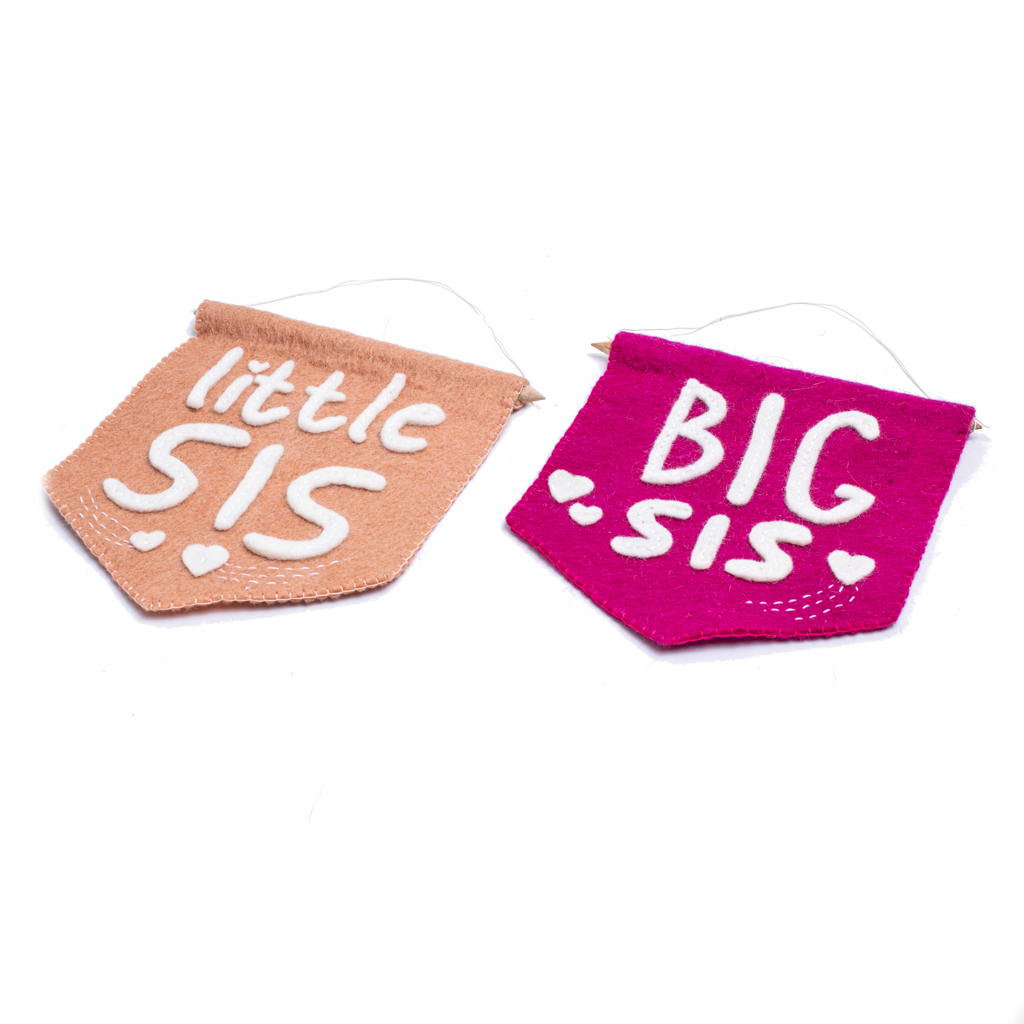 Little Sis Banner Flag