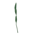 Felt Long Leaf