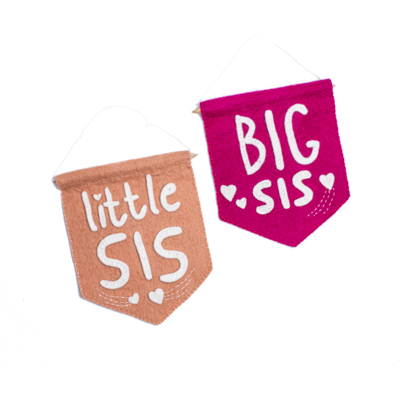 Little Sis Banner Flag