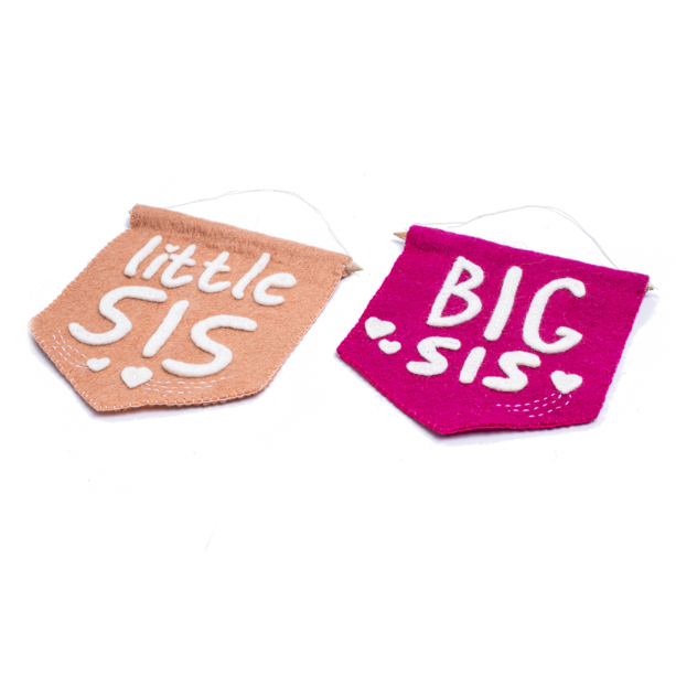 Little Sis Banner Flag
