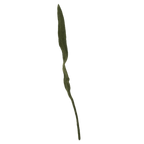 Felt Long Leaf