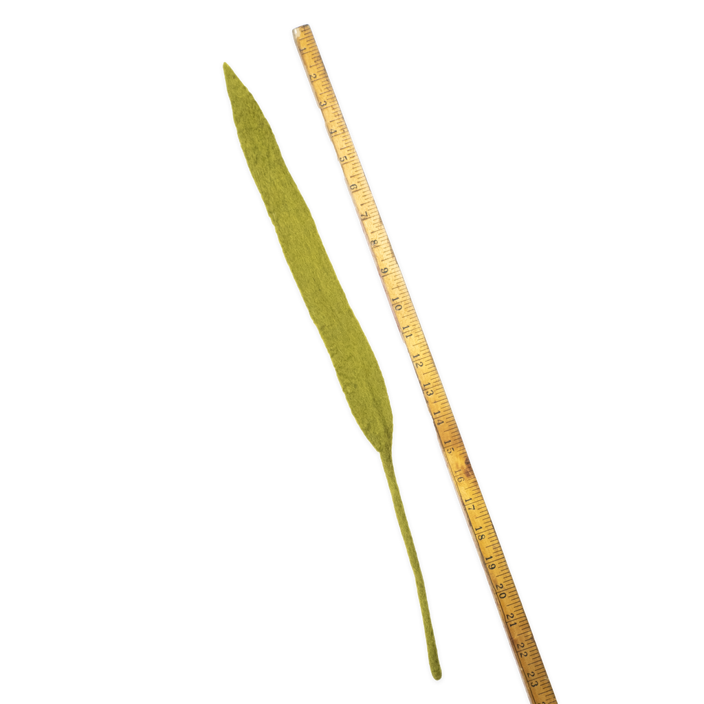 Felt Long Leaf