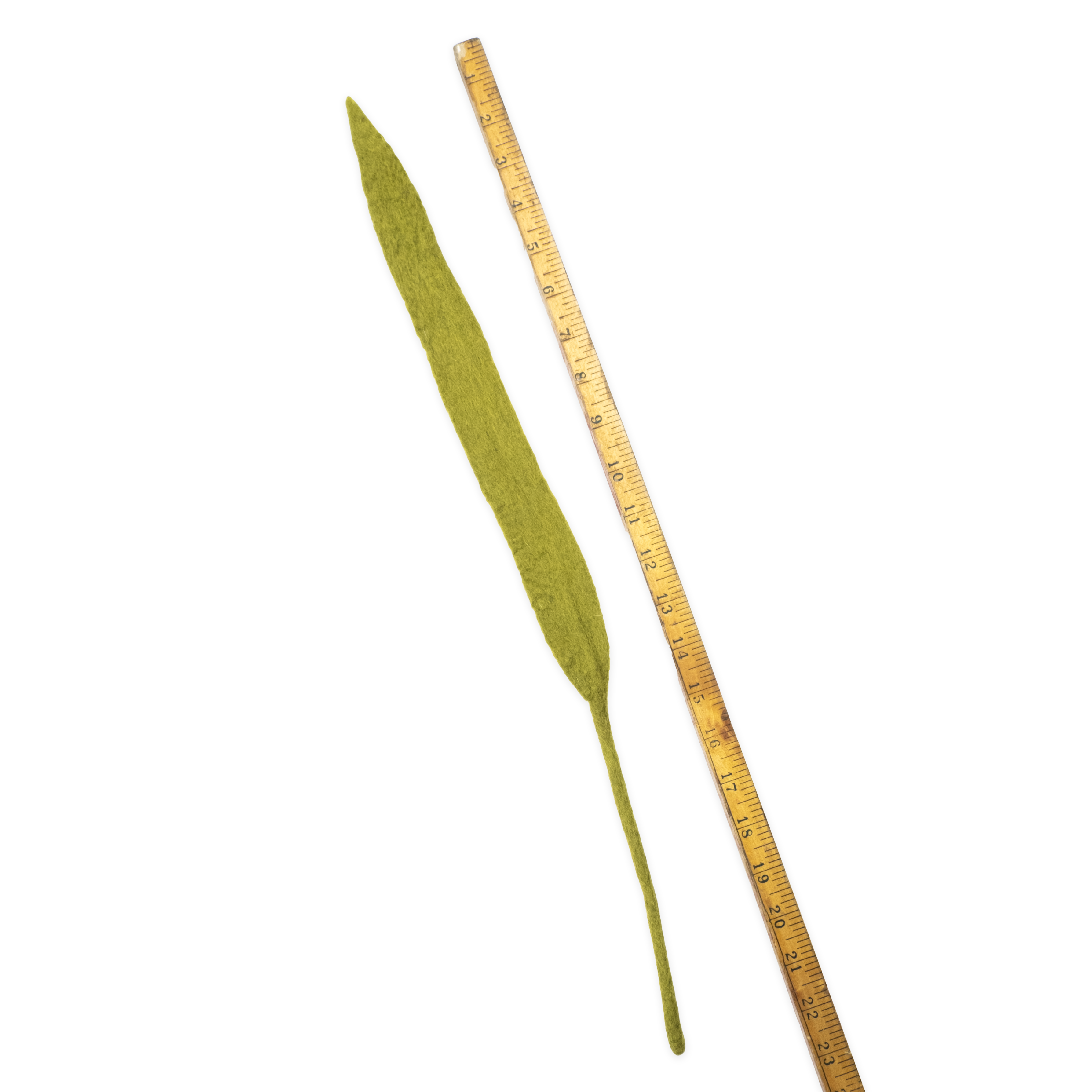 Felt Long Leaf