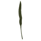 Felt Long Leaf
