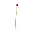 Beaded Craspedia Accent Stem
