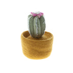 Felt Cactus Pots