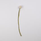 Felt Craspedia Stem