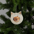 Felt Cat Frame Ornament