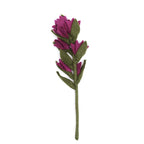 Felt Indian Paintbrush Flowers