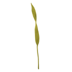 Felt Long Leaf