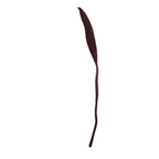 Felt Long Leaf