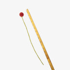Beaded Craspedia Accent Stem