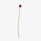 Beaded Craspedia Accent Stem
