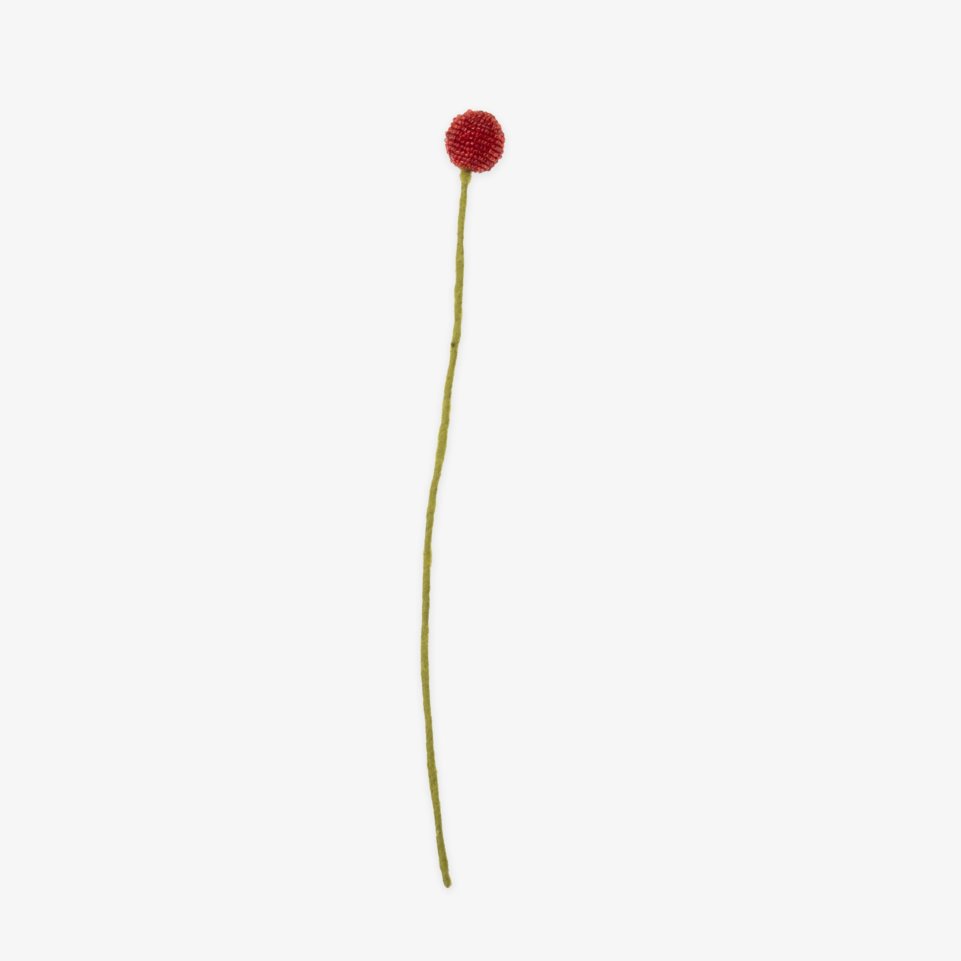 Beaded Craspedia Accent Stem