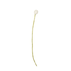 Beaded Craspedia Accent Stem
