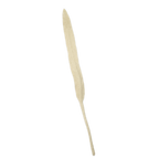 Felt Long Leaf