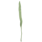 Felt Long Leaf