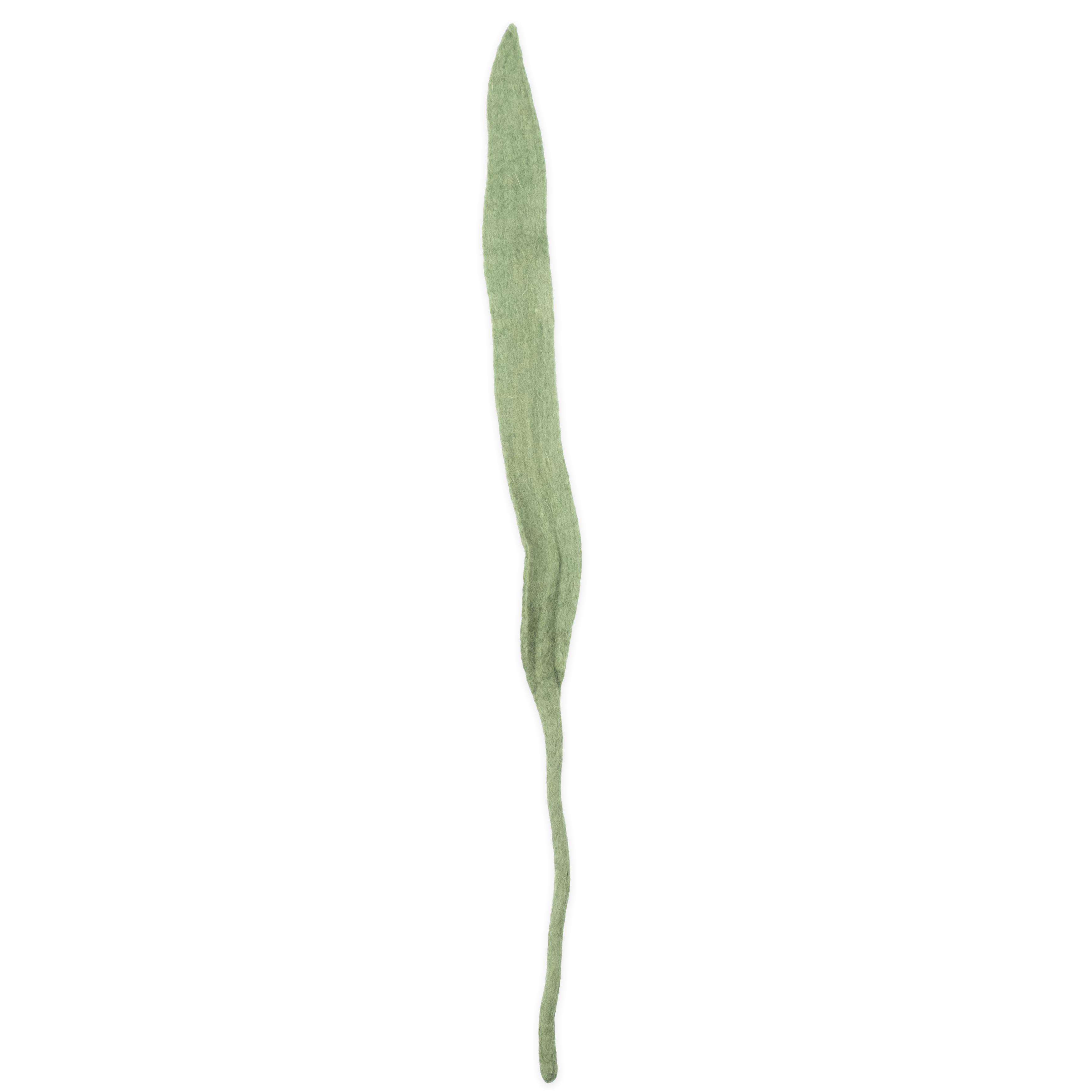 Felt Long Leaf
