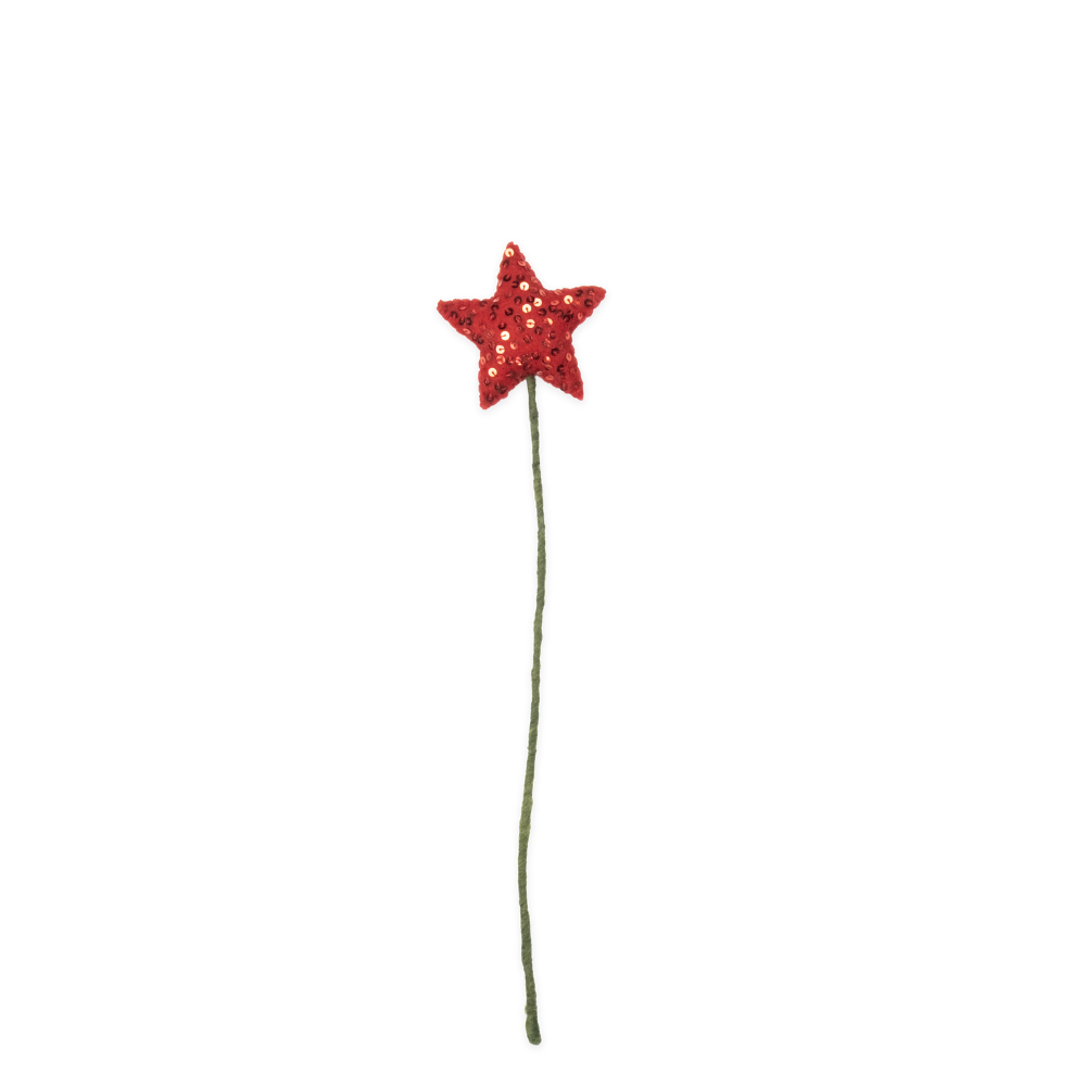 Felt Star Accent Stem