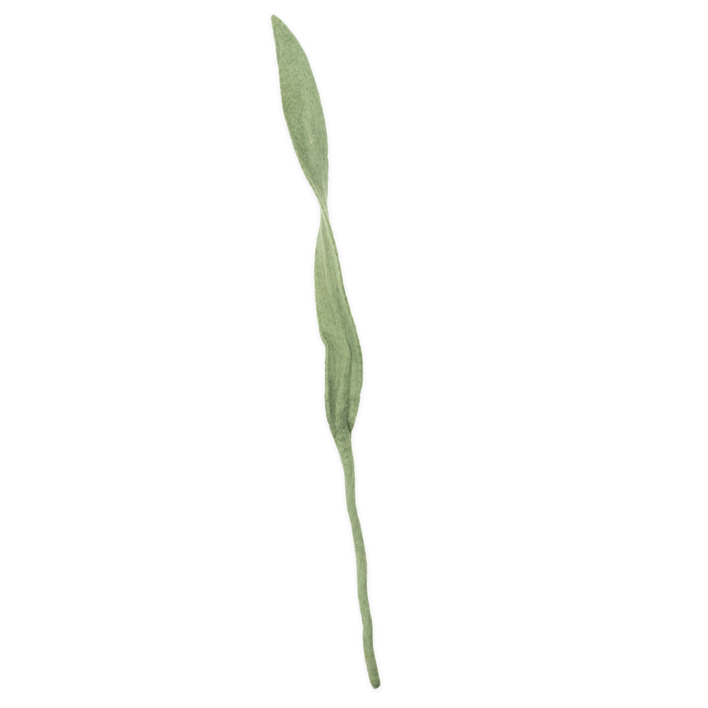 Felt Long Leaf