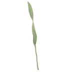 Felt Long Leaf
