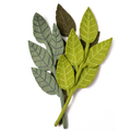 Felt Ash Leaf